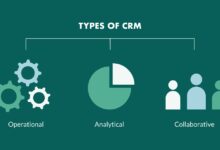 crm consultant rates