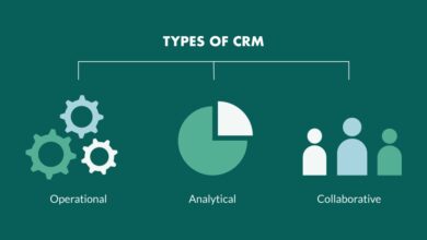 crm consultant rates