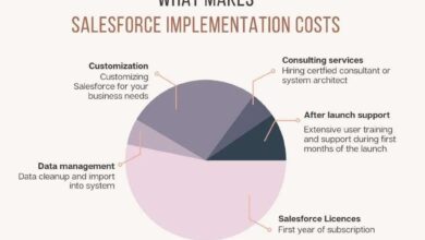 salesforce implementation cost